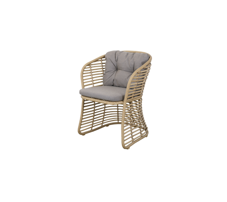 Basket chair