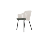 Choice chair with 4 legs