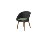 Peacock chair