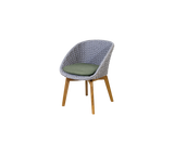 Peacock chair