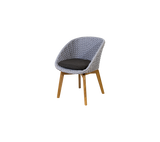 Peacock chair