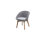 Peacock chair