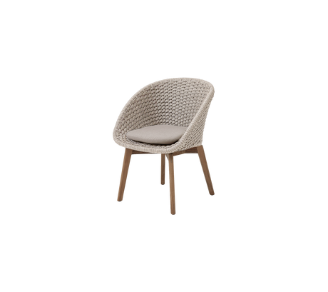 Peacock chair