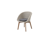 Peacock chair