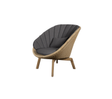 Peacock lounge chair