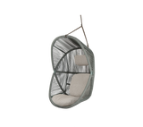 Hive chair